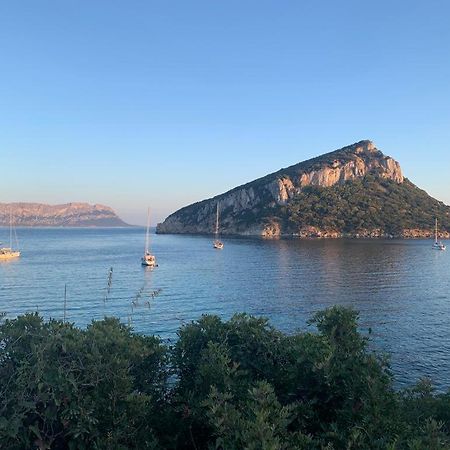 Appartamenti Le Primule Golfo Aranci Exterior foto