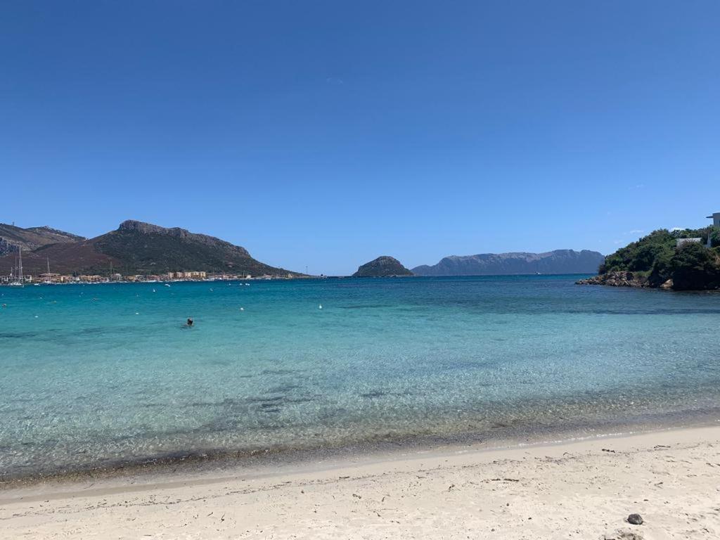 Appartamenti Le Primule Golfo Aranci Exterior foto